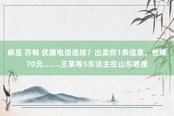 麻豆 苏畅 扰攘电话连续？出卖你1条信息，他赚70元……王某等5东谈主在山东被捏