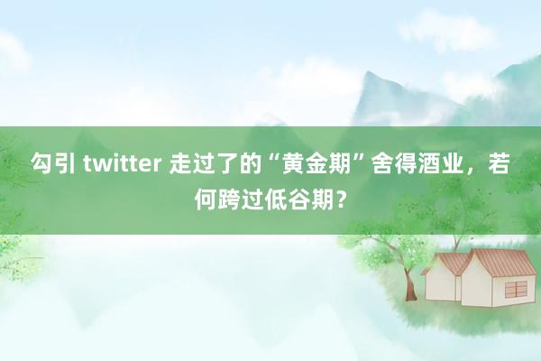 勾引 twitter 走过了的“黄金期”舍得酒业，若何跨过低谷期？