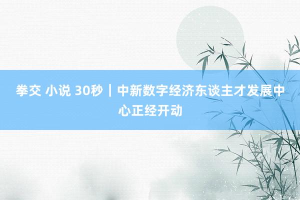 拳交 小说 30秒｜中新数字经济东谈主才发展中心正经开动