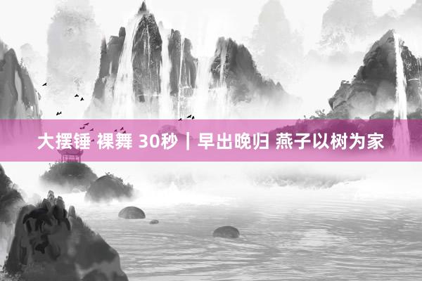 大摆锤 裸舞 30秒｜早出晚归 燕子以树为家