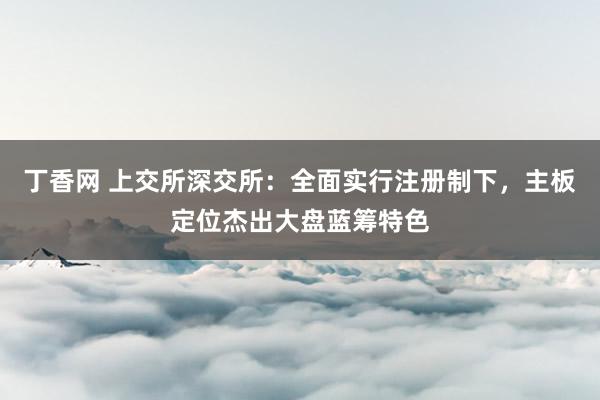 丁香网 上交所深交所：全面实行注册制下，主板定位杰出大盘蓝筹特色