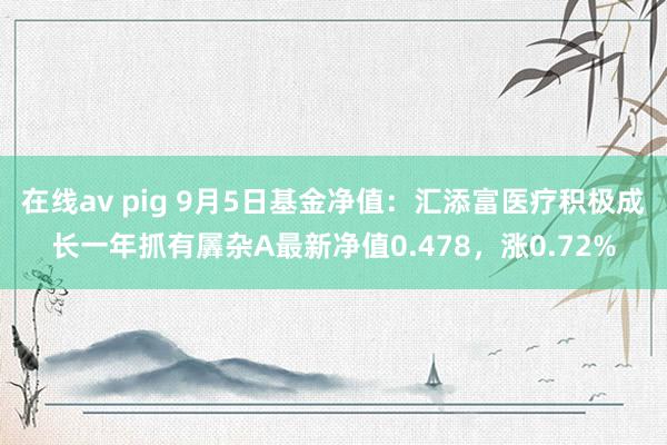 在线av pig 9月5日基金净值：汇添富医疗积极成长一年抓有羼杂A最新净值0.478，涨0.72%