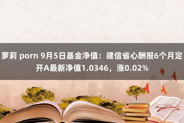 萝莉 porn 9月5日基金净值：建信省心酬报6个月定开A最新净值1.0346，涨0.02%