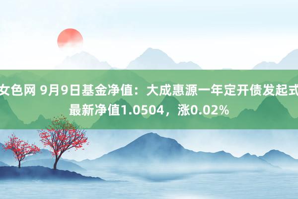 女色网 9月9日基金净值：大成惠源一年定开债发起式最新净值1.0504，涨0.02%