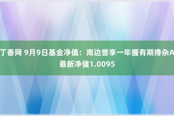 丁香网 9月9日基金净值：南边誉享一年握有期搀杂A最新净值1.0095