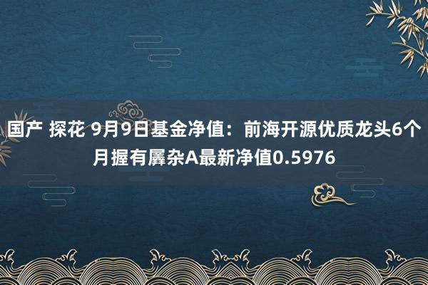 国产 探花 9月9日基金净值：前海开源优质龙头6个月握有羼杂A最新净值0.5976