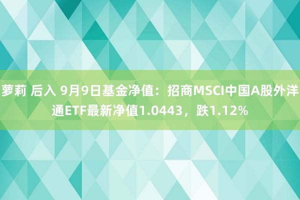 萝莉 后入 9月9日基金净值：招商MSCI中国A股外洋通ETF最新净值1.0443，跌1.12%