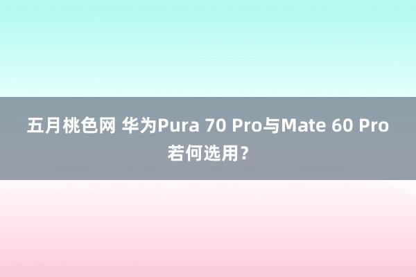 五月桃色网 华为Pura 70 Pro与Mate 60 Pro若何选用？