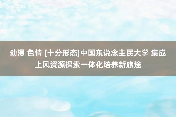 动漫 色情 [十分形态]中国东说念主民大学 集成上风资源探索一体化培养新旅途