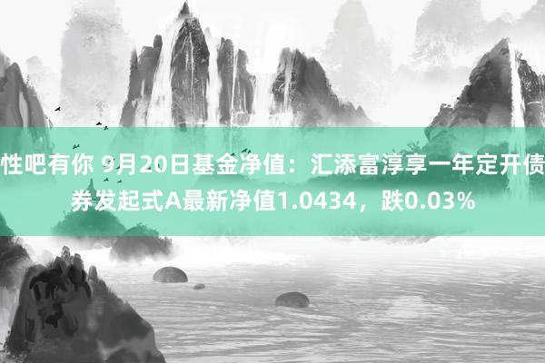 性吧有你 9月20日基金净值：汇添富淳享一年定开债券发起式A最新净值1.0434，跌0.03%