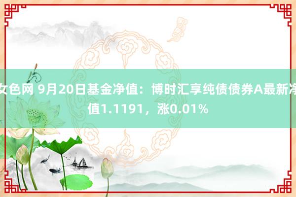 女色网 9月20日基金净值：博时汇享纯债债券A最新净值1.1191，涨0.01%