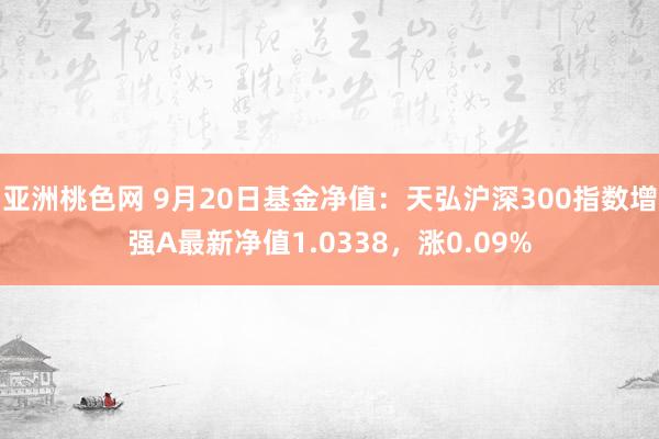 亚洲桃色网 9月20日基金净值：天弘沪深300指数增强A最新净值1.0338，涨0.09%