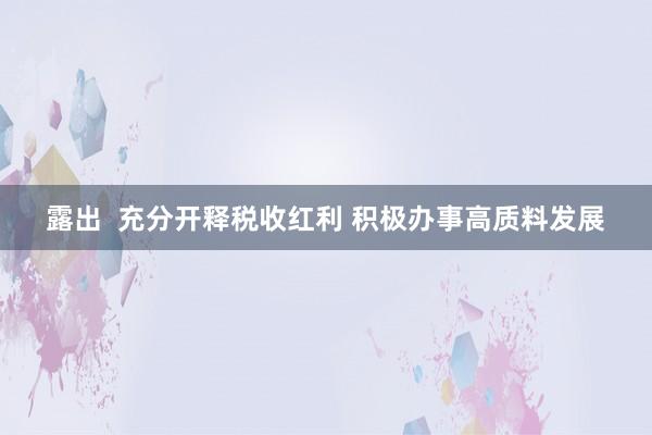 露出  充分开释税收红利 积极办事高质料发展