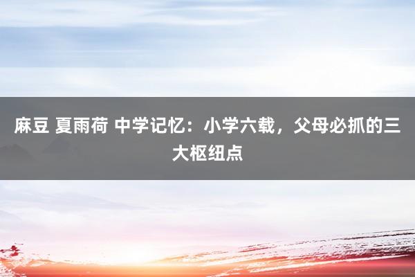 麻豆 夏雨荷 中学记忆：小学六载，父母必抓的三大枢纽点