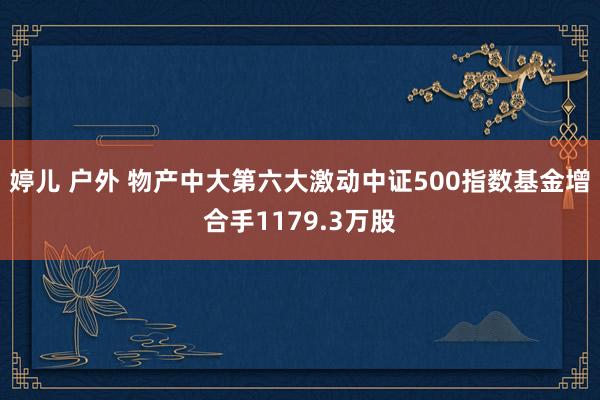 婷儿 户外 物产中大第六大激动中证500指数基金增合手1179.3万股