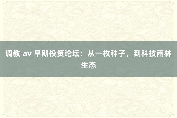 调教 av 早期投资论坛：从一枚种子，到科技雨林生态