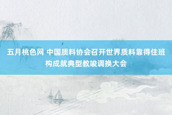 五月桃色网 中国质料协会召开世界质料靠得住班构成就典型教唆调换大会