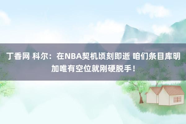 丁香网 科尔：在NBA契机顷刻即逝 咱们条目库明加唯有空位就刚硬脱手！