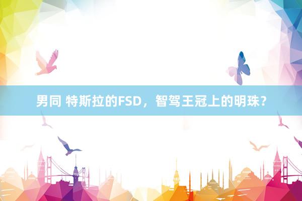 男同 特斯拉的FSD，智驾王冠上的明珠？