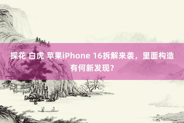 探花 白虎 苹果iPhone 16拆解来袭，里面构造有何新发现？