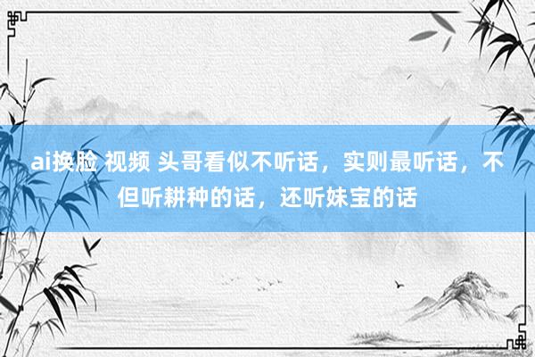 ai换脸 视频 头哥看似不听话，实则最听话，不但听耕种的话，还听妹宝的话