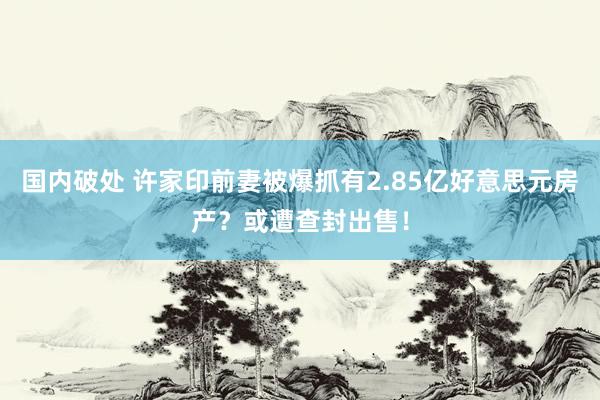 国内破处 许家印前妻被爆抓有2.85亿好意思元房产？或遭查封出售！