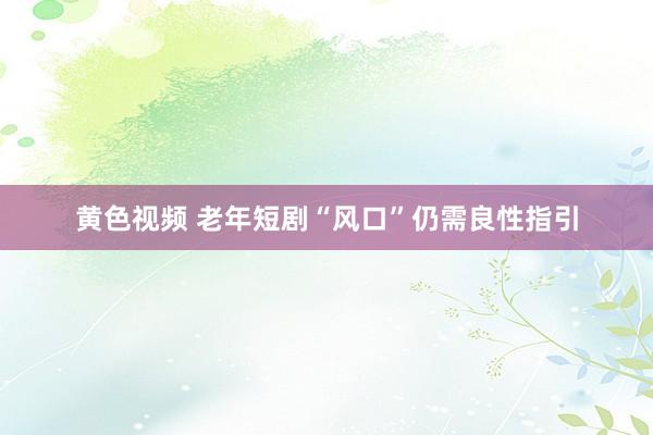 黄色视频 老年短剧“风口”仍需良性指引