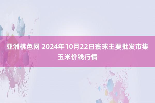 亚洲桃色网 2024年10月22日寰球主要批发市集玉米价钱行情