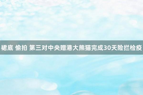 裙底 偷拍 第三对中央赠港大熊猫完成30天险拦检疫