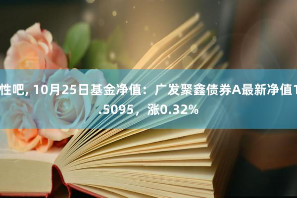 性吧， 10月25日基金净值：广发聚鑫债券A最新净值1.5095，涨0.32%