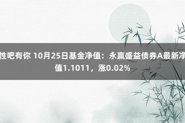 性吧有你 10月25日基金净值：永赢盛益债券A最新净值1.1011，涨0.02%