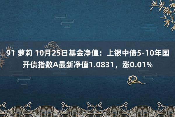 91 萝莉 10月25日基金净值：上银中债5-10年国开债指数A最新净值1.0831，涨0.01%