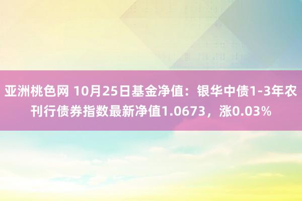 亚洲桃色网 10月25日基金净值：银华中债1-3年农刊行债券指数最新净值1.0673，涨0.03%