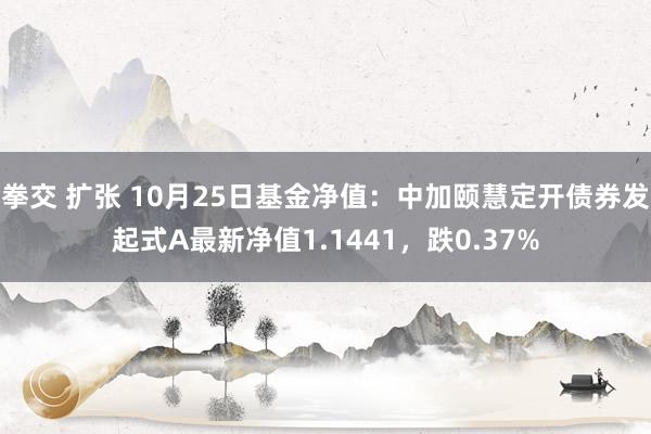 拳交 扩张 10月25日基金净值：中加颐慧定开债券发起式A最新净值1.1441，跌0.37%