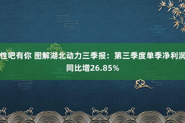 性吧有你 图解湖北动力三季报：第三季度单季净利润同比增26.85%