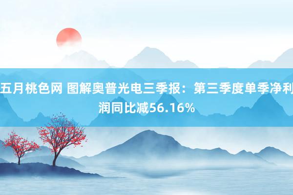 五月桃色网 图解奥普光电三季报：第三季度单季净利润同比减56.16%