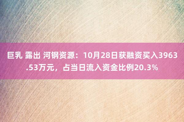 巨乳 露出 河钢资源：10月28日获融资买入3963.53万元，占当日流入资金比例20.3%