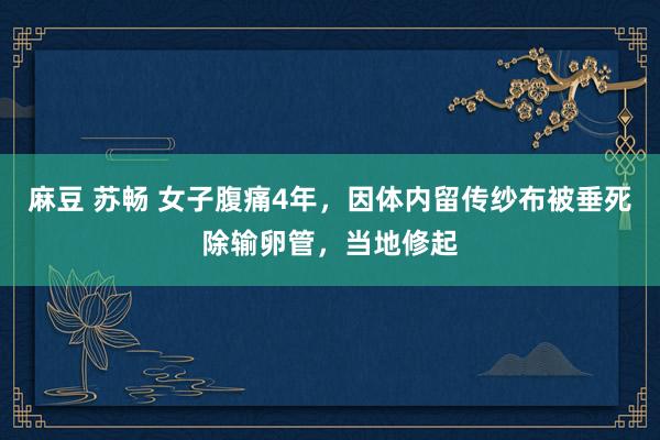 麻豆 苏畅 女子腹痛4年，因体内留传纱布被垂死除输卵管，当地修起