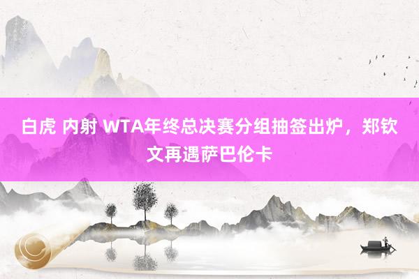 白虎 内射 WTA年终总决赛分组抽签出炉，郑钦文再遇萨巴伦卡