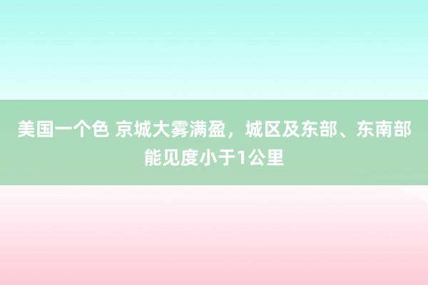 美国一个色 京城大雾满盈，城区及东部、东南部能见度小于1公里