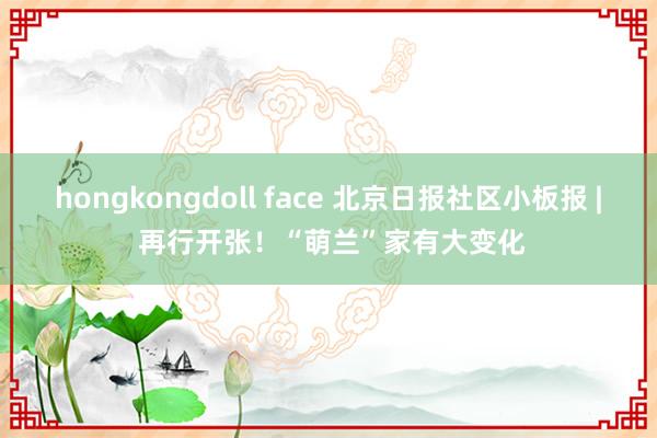 hongkongdoll face 北京日报社区小板报 | 再行开张！“萌兰”家有大变化