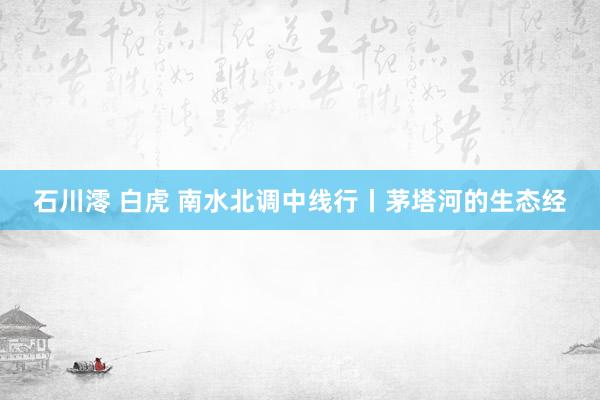 石川澪 白虎 南水北调中线行丨茅塔河的生态经