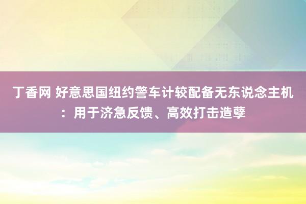 丁香网 好意思国纽约警车计较配备无东说念主机：用于济急反馈、高效打击造孽