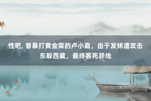 性吧， 曾暴打黄金荣的卢小嘉，由于发怵遭攻击东躲西藏，最终客死异地