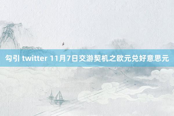 勾引 twitter 11月7日交游契机之欧元兑好意思元