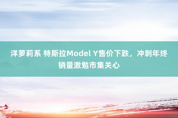 洋萝莉系 特斯拉Model Y售价下跌，冲刺年终销量激勉市集关心