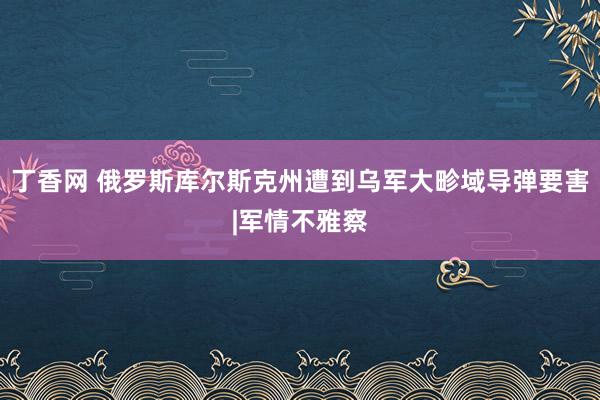 丁香网 俄罗斯库尔斯克州遭到乌军大畛域导弹要害|军情不雅察