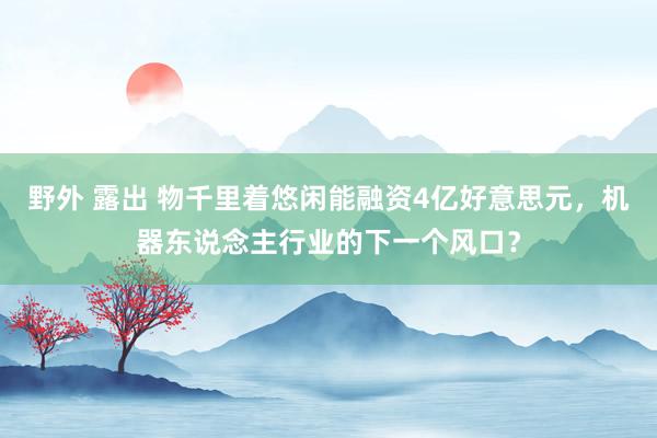 野外 露出 物千里着悠闲能融资4亿好意思元，机器东说念主行业的下一个风口？