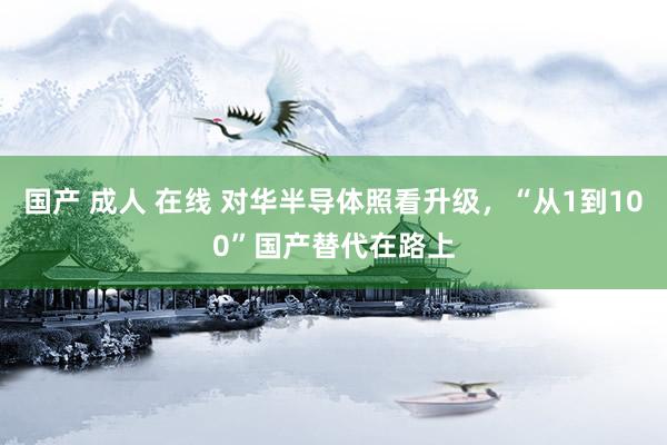 国产 成人 在线 对华半导体照看升级，“从1到100”国产替代在路上