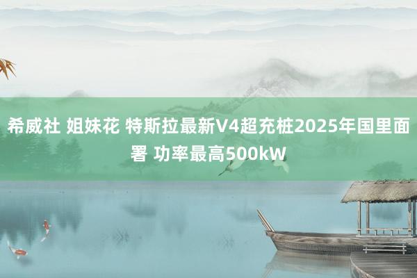 希威社 姐妹花 特斯拉最新V4超充桩2025年国里面署 功率最高500kW